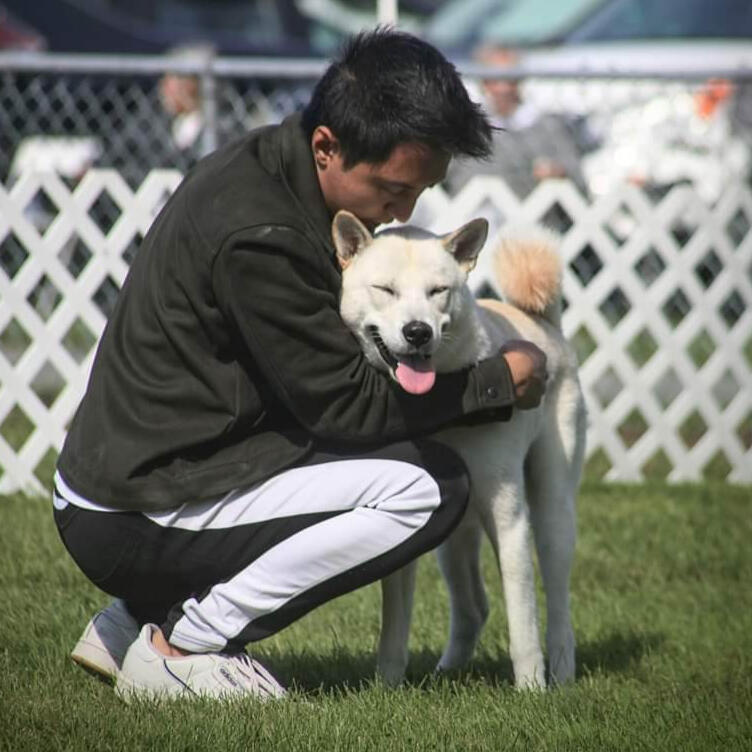 Sakura no Shin go 櫻の伸号